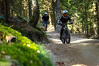 Radfahren auf verschieden Trails im Bikepark Bayerischer Wald